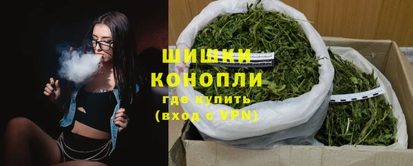 ГАЛЛЮЦИНОГЕННЫЕ ГРИБЫ Горнозаводск