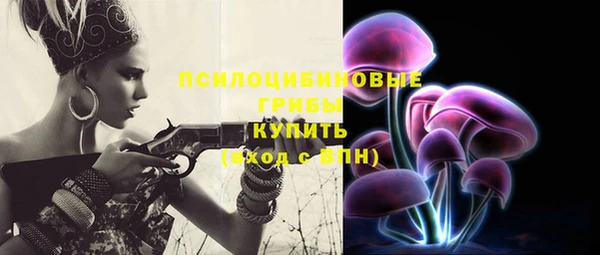 ALPHA PVP Горняк