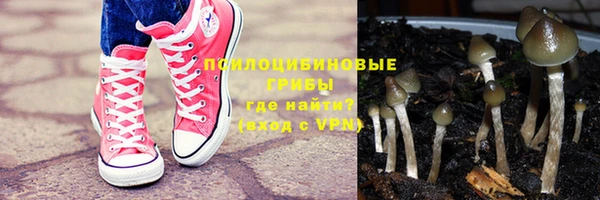 ГАЛЛЮЦИНОГЕННЫЕ ГРИБЫ Горнозаводск