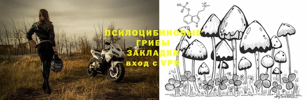 прущие крисы Уссурийск