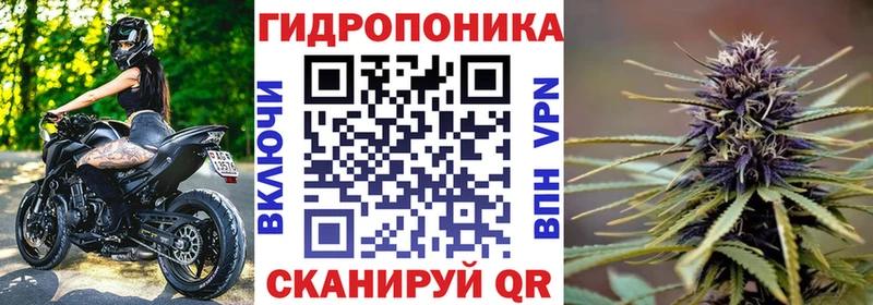 Купить где  Перевоз  Канабис марихуана 